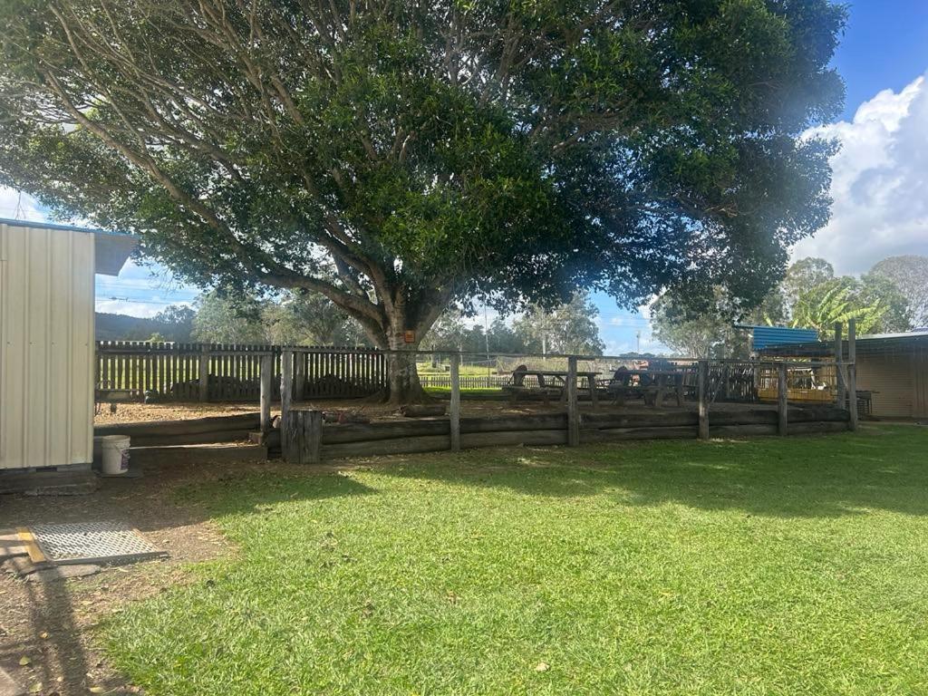 Gundy Pub & Caravan Park Gundiah Exterior foto